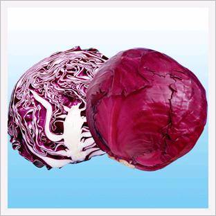 Cabbage, Red Ball  Made in Korea